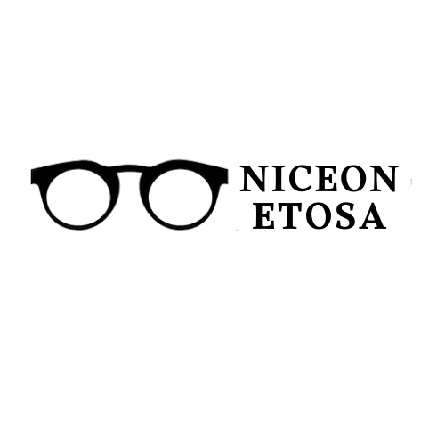 niceonetosa.com